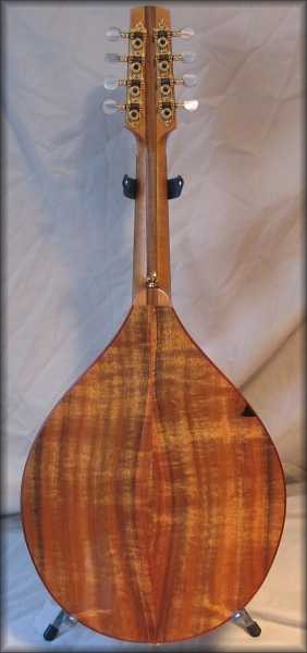 irish mandolin - koa back, maple/walnut neck