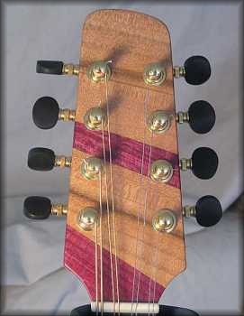 ebony buttons on maple neck with purpleheart/dogwood headplate